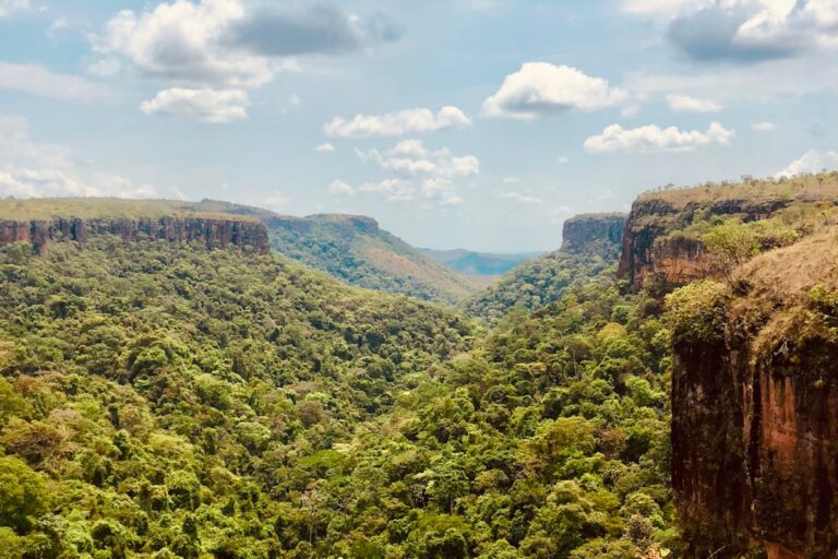 Discover the Hidden Gems of Brazil with BrazilTours Online